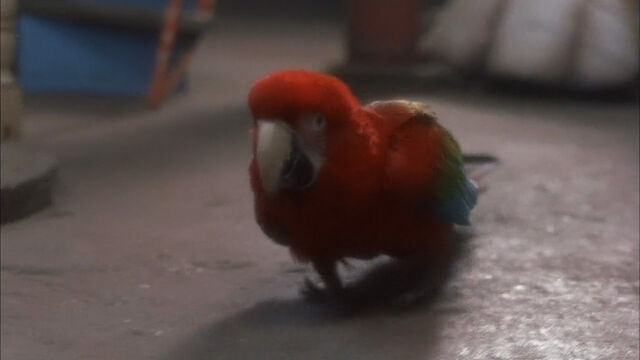 File:102-dalmatians-disneyscreencaps com-1066.jpg