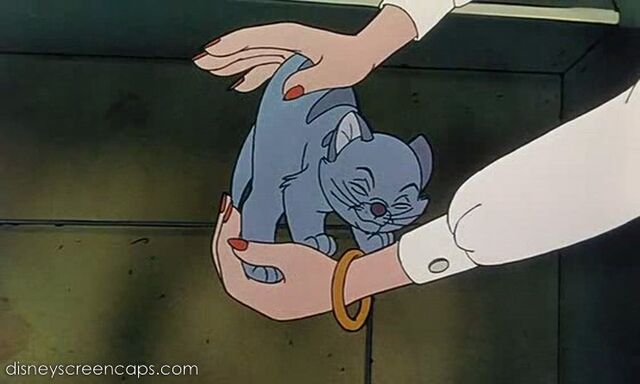 File:Oliver-disneyscreencaps.com-92.jpg