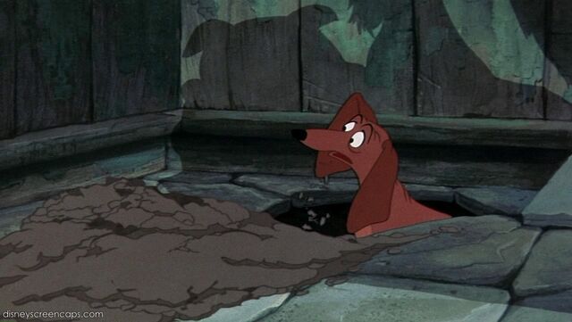 File:Tramp-disneyscreencaps com-6243.jpg