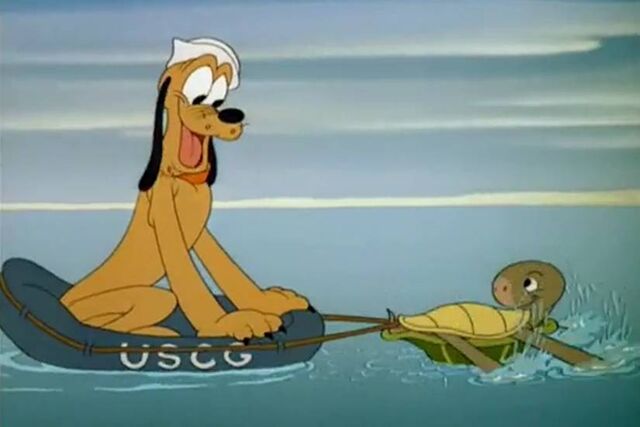 File:Pluto and turtle3.jpg