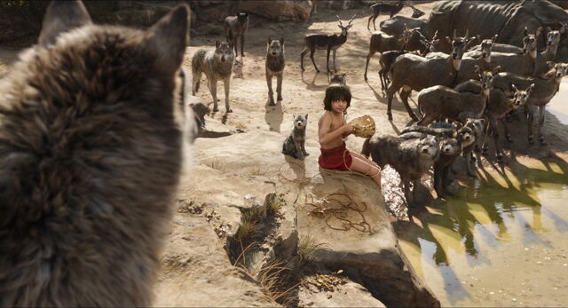 File:Jungle-book-2016-disneyscreencaps.com-929.jpg