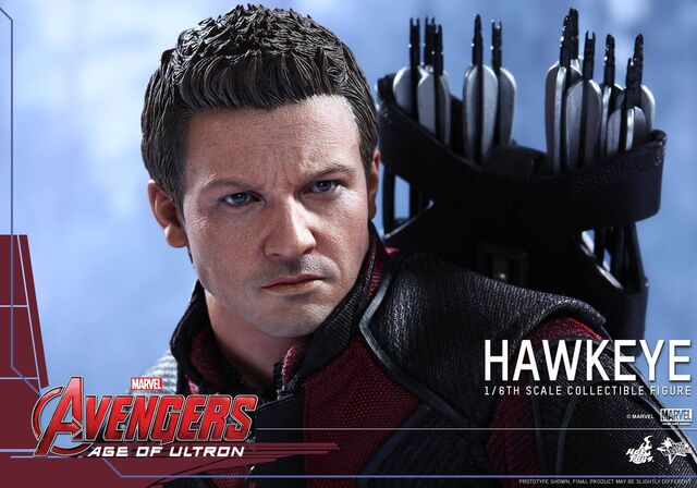 File:Hawkeye AOU Hot Toys 08.jpg