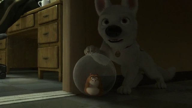 File:Vlcsnap-2015-08-23-18h01m38s093.png