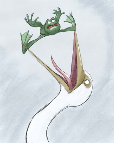 File:Birdfrog.jpg