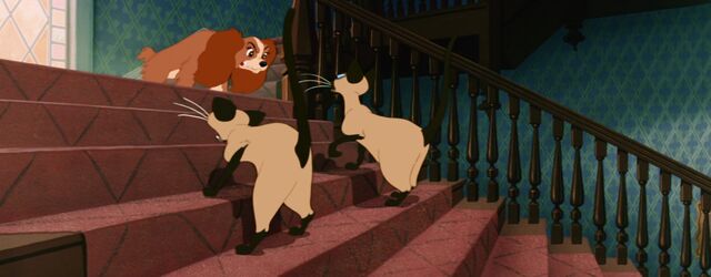 File:Lady-tramp-disneyscreencaps com-3923.jpg