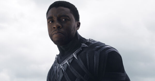 File:Black Panther unmasked.jpg