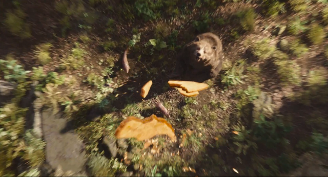 File:Jungle Book 2016 127.png