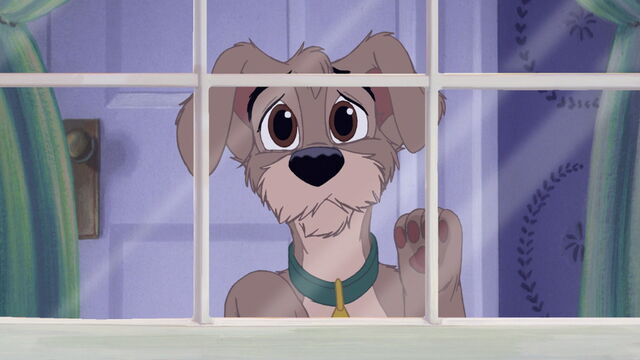 File:Lady-tramp-2-disneyscreencaps.com-388.jpg