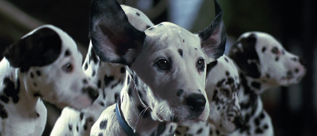 File:101-dalmatians-1996-7.png
