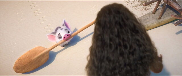 File:Pua Moana-1.jpg