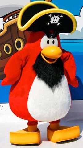 File:Rockhopper.jpg