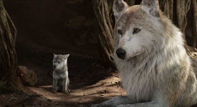 File:Jungle-book-2016-disneyscreencaps.com-2545.jpg