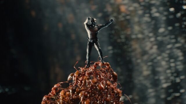 File:Ant-Man (film) 95.jpg