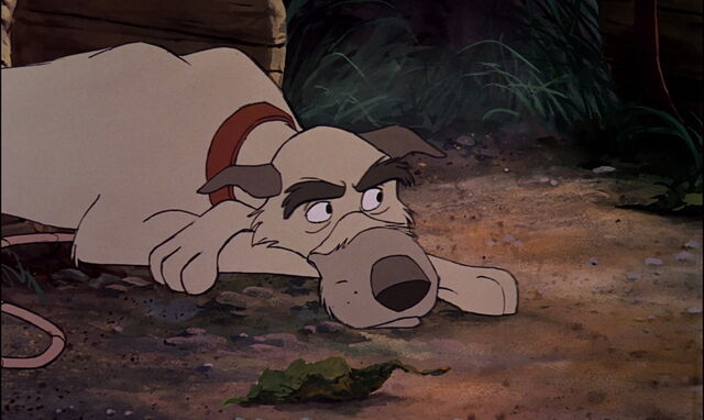 File:Fox-and-the-hound-disneyscreencaps.com-4679.jpg