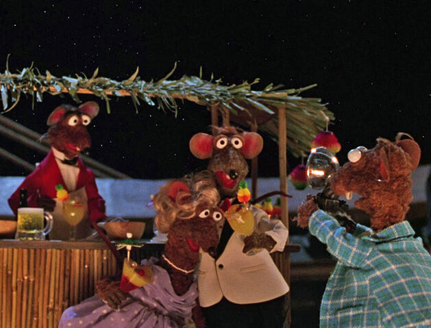 File:Rat tourists mti.jpg