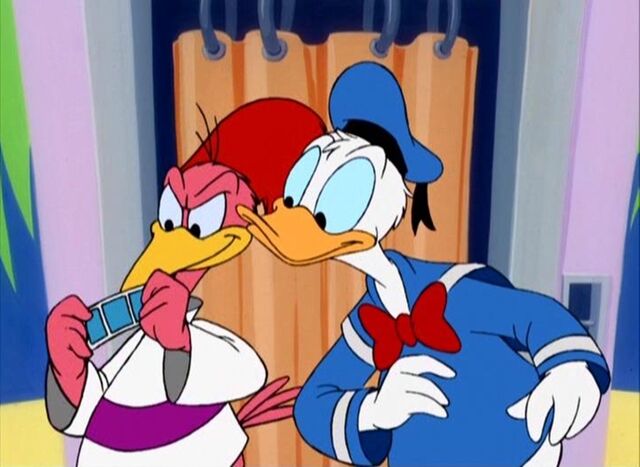 File:Bird brained donald 7large.jpg