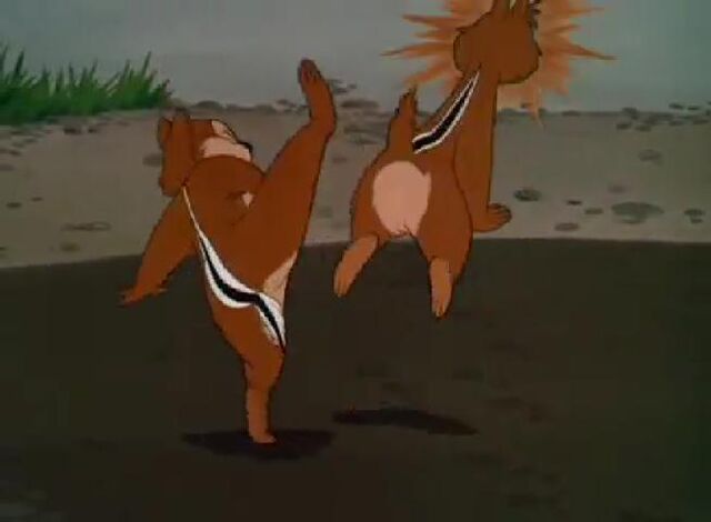 File:Chipkick1.jpg
