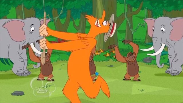 File:Heinz in the jungle.jpg