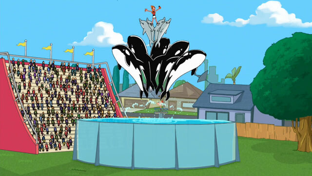File:Backyard aquarium.jpg