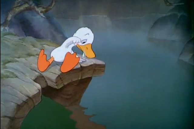 File:Seereflection.png