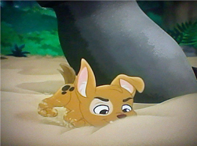 File:Patch the Pirate Pup12.png