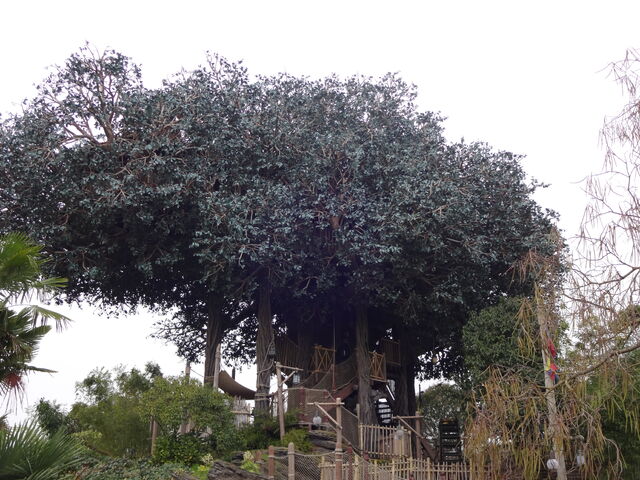 File:La Cabane des Robinson.jpg