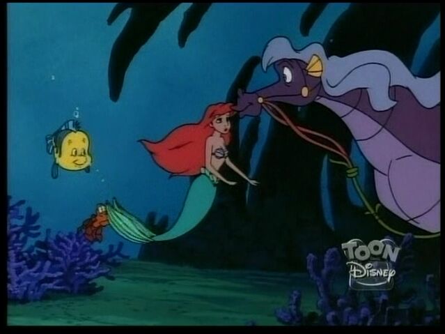 File:StormySeahorse86.jpg