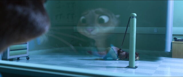 File:Zootopia-disneyscreencaps.com-8817.jpg