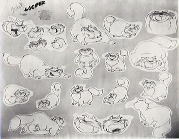 File:Cat6.jpg