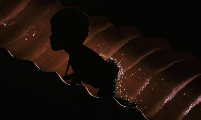 File:James-giant-peach-disneyscreencaps com-2245.jpg