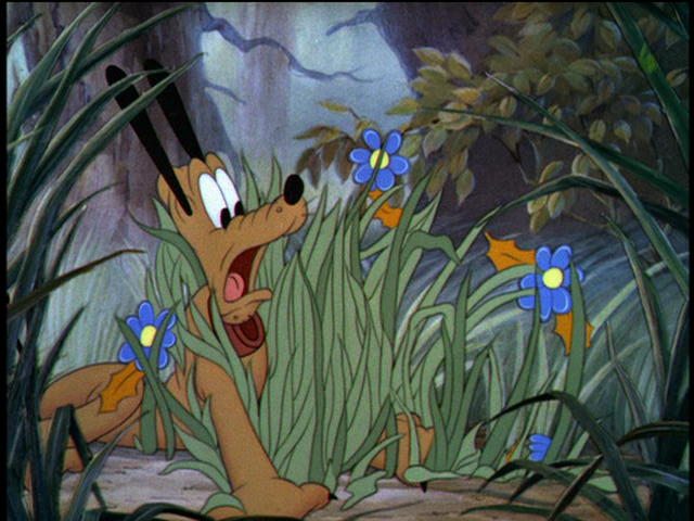 File:Tumblr n26vxmcErD1r3jmn6o1 1280.png
