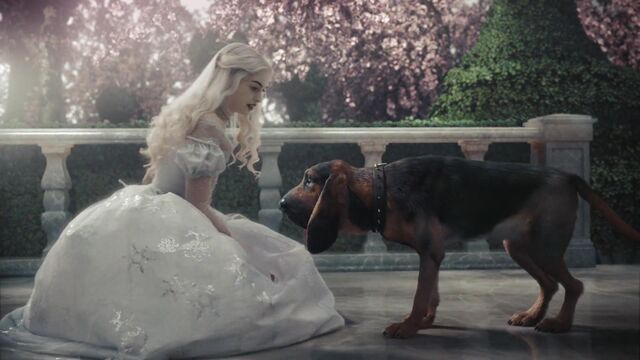 File:Alice-in-wonderland-disneyscreencaps.com-5869.jpg