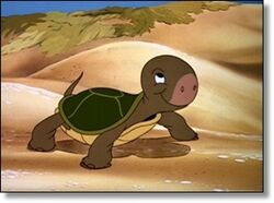 Unnamedturtle