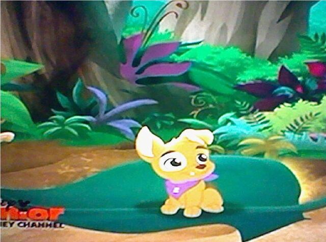 File:Patch the Pirate Pup11.jpg