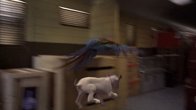 File:102-dalmatians-disneyscreencaps com-8261.jpg