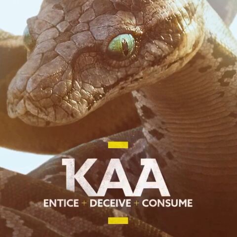 File:Kaa Vine Poster.jpeg