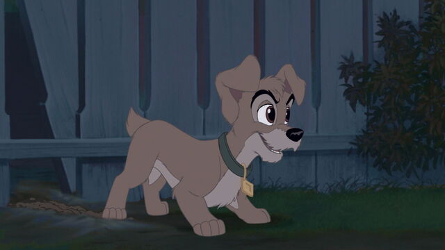 File:Lady-tramp-2-disneyscreencaps.com-1568.jpg