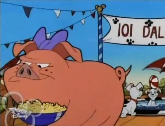 File:Dumplingpig.jpg