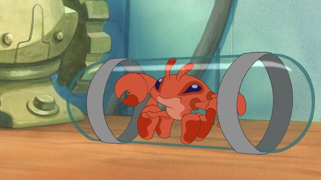 File:ScreenCapture 02.08.13 20-44-29.jpg