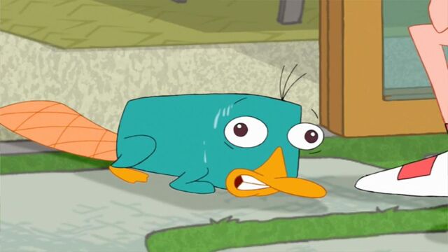 File:Perry gets nervous.jpg