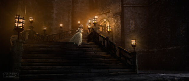 File:Tumblr ndwk6d22qb1qapk86o3 1280.jpg