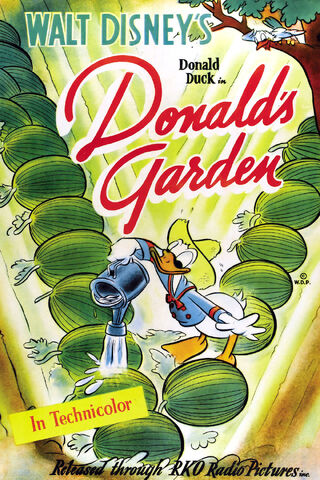File:Donald-s-garden-original.jpg