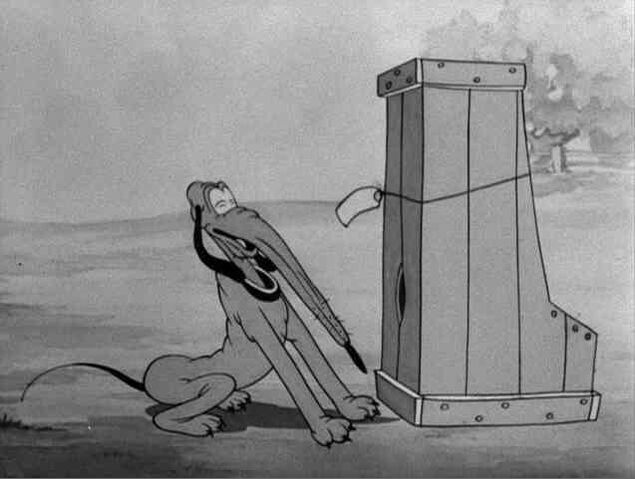 File:053-004shnozz.jpg
