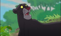Bagheera JB2