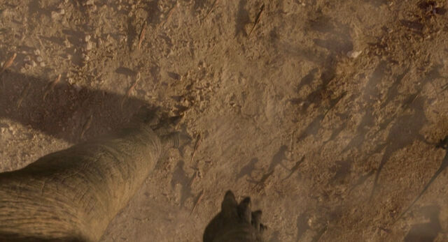 File:Movie Microceratus.jpg