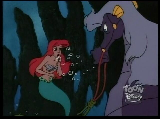 File:StormySeahorse26.jpg