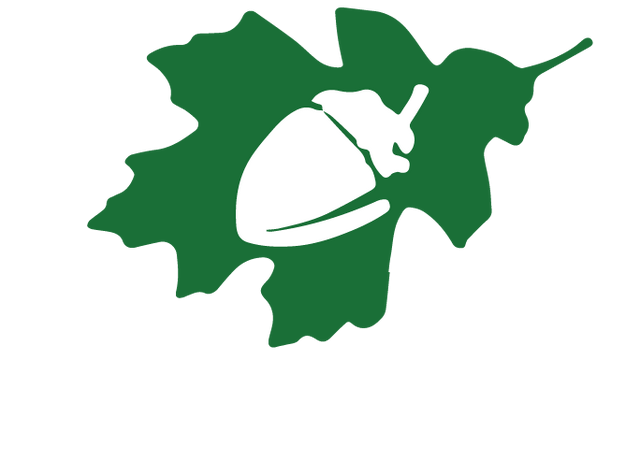 File:Great oaks logo by jarvisrama99-d94antl.png