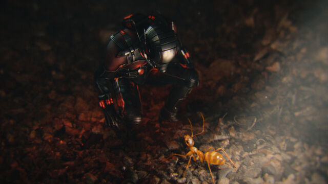 File:Ant-Man (film) 85.jpg