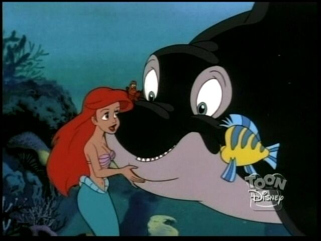 File:Savethewhale20.jpg