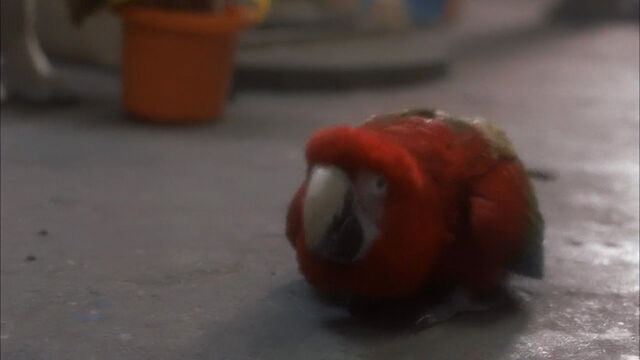 File:102-dalmatians-disneyscreencaps com-1072.jpg